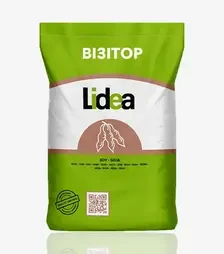 Соя ES Visitor (Візітор), п.о. 125 тис. насінин (Lidea)