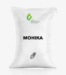 Кукуруза Моника, п.е. 80 тыс. семян (Институт сельского хозяйства степной зоны НААН Украины