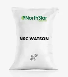 Соя NSC Watson (НСК Ватсон), т (NorthStar Genetics)