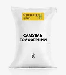 Овес ярий Самуель голозерний, т (Корпорація Агроексперт Трейд)