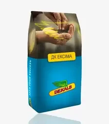 Ріпак озимий ДК Ексіма, п.о. 1 500 тис. насінин (Dekalb)