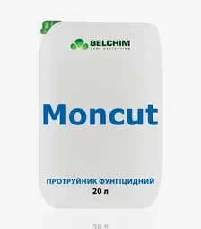Протравитель Монкат, 20 л (Belchim)