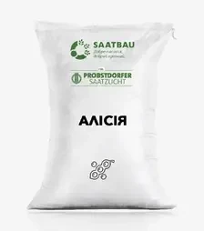 Соя Алісія, т (Saatbau)