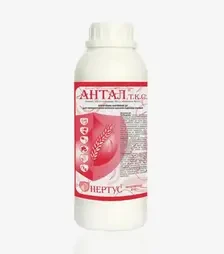 Протруйник Антал, 1 л (Нертус)