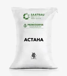 Ріпак озимий Астана, п.о. 1 500 тис. насінин (Saatbau)