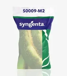 Соя S0009-M2, т (Syngenta)