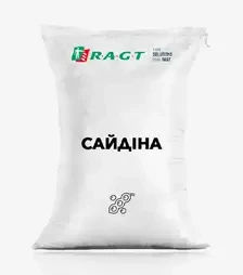 Соя Сайдіна, т (RAGT)