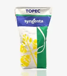 Ріпак озимий Торес, п.о. 1 500 тис. насінин (Syngenta)