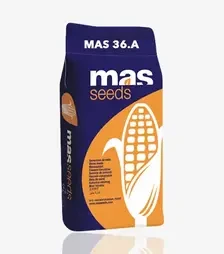Кукурудза MAS 36A, п.о. 50 тис. насінин (MASseeds)