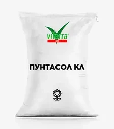Соняшник Пунтасол КЛ, п.о. 150 тис. насінин (ViterraSeed)