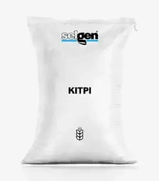 Пшениця яра Кітрі, т (Selgen)