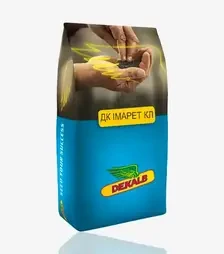 Ріпак озимий ДК Імарет КЛ, п.о. 1 500 тис. насінин (Dekalb)