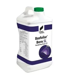Микроудобрение Басфолиар Боро СЛ, 10 л (Compo Expert)