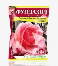Протруйник Фундазол, 15 г (Сектор ЗЗР)