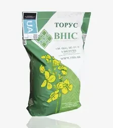 Ріпак озимий Торус, п.о. 1 500 тис. насінин (Вніс)