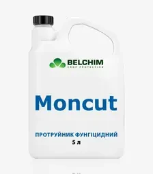 Протравитель Монкат, 5 л (Belchim)