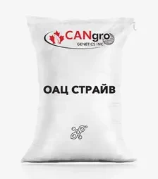 Соя ОАЦ Страйв, т (Cangro-Genetics)