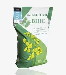 Ріпак озимий Блекстоун, п.о. 1 500 тис. насінин (Вніс)