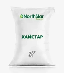 Соя Хайстар, т (NorthStar Genetics)