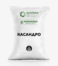 Кукуруза Кассандро, п.е. 80 тыс. семян (Saatbau)