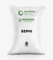 Ріпак озимий Берні, п.о. 1 500 тис. насінин (Saatbau)