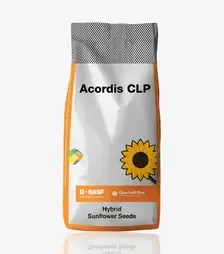 Соняшник Акордіс КЛП, п.о. 150 тис. насінин (Basf)