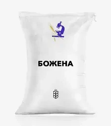 Пшениця яра Божена, т (ІСМАВ НААН)