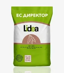 Соя ЕС Директор, п.о. 125 тис. насінин (Lidea)