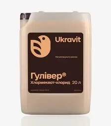 Регулятор роста Гулливер Хлормекват-Хлорид (Берегиня), 20 л (Ukravit Science Park)
