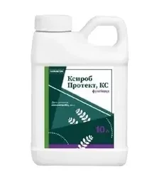 Фунгіцид Ксироб Протект, 10 л (Новакем)