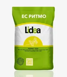 Ріпак озимий ЕС Ритмо, п.о. 1 500 тис. насінин (Lidea)