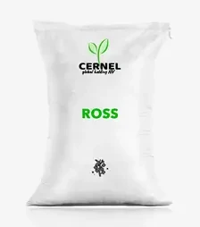 Ріпак озимий Ross (Росс), п.о. 1 500 тис. насінин (Cernel Global Holding NV)