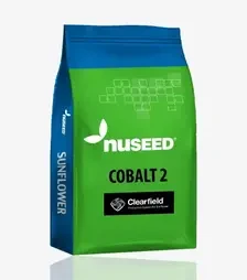 Соняшник Кобальт2, п.о. 150 тис. насінин (Nuseed)