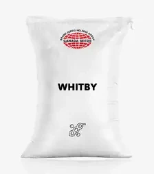 Соя Whitby (Вітбі), т (Sertis)