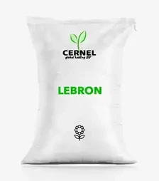 Соняшник Lebron (Леброн), п.о. 150 тис. насінин (Cernel Global Holding NV)