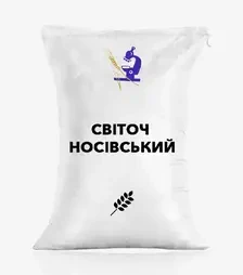 Ячмінь ярий Світоч Носівський, т (ІСМАВ НААН)