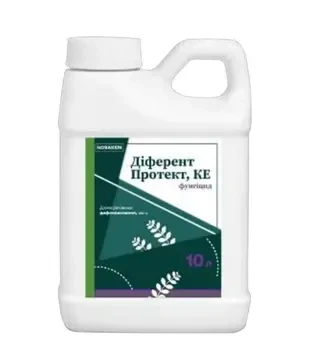 Фунгицид Дифферент Протект, 10 л (Новакем)