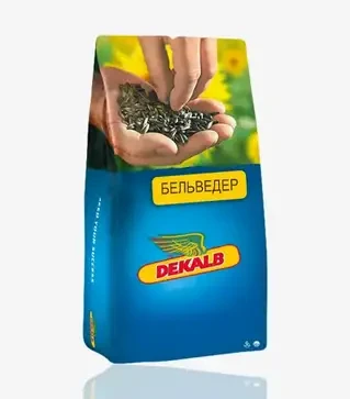 Подсолнечник Бельведер, п.е. 150 тыс. семян (Dekalb)