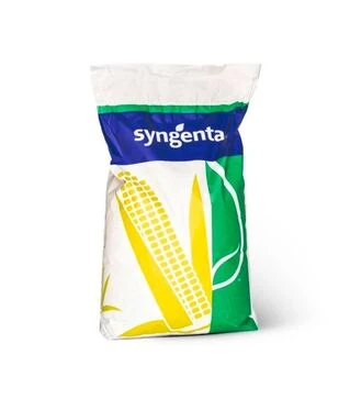Кукуруза СИ Амфора, п.о. 80 тыс. семян (Syngenta)