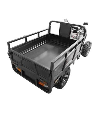 Квадроцикл вантажний акумуляторний HECHT FARMIS