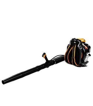 Садова повітродувка GTM EB800