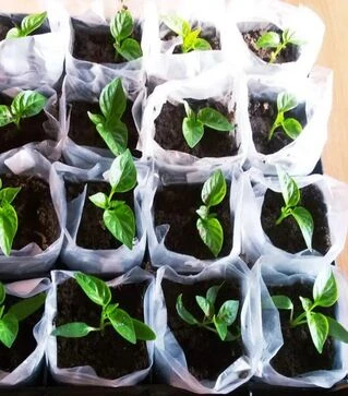 Рукав&nbsp;для&nbsp;розсади&nbsp;поліетиленовий,&nbsp;40&nbsp;мкм,&nbsp;150&nbsp;мм,&nbsp;500&nbsp;м&nbsp;(190108)