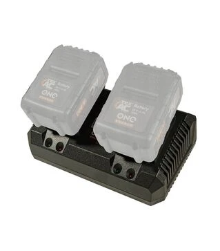 Зарядное устройство Тех.АС TAOE-С2D