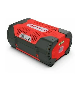 Аккумуляторная батарея HECHT 62В, 2,5А*ч (HECHT006225B)