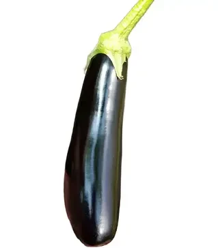 Семена баклажана Караман F1, п.е. 250 семян (Libra Seeds)