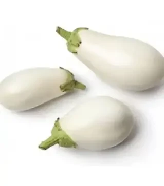 Насіння баклажану Кароліни F1, п.о. 1 тис. насінин (Semo)