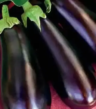 Насіння баклажану Лонг Вайалетта, 500 г (Коуел)