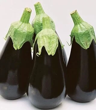 Насіння баклажану Блек Перл F1, п.о. 250 насінин (Vitalis)