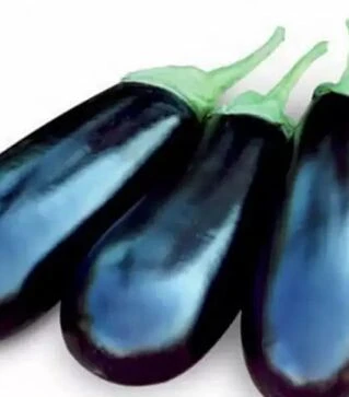 Насіння баклажану Бріджит F1, п.о. 1 тис. насінин (Rijk Zwaan)