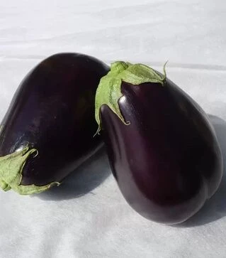 Семена баклажана Сара F1, п.е. 1 тыс. семян (Cora Seeds)